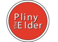 Pliny the Elder Extract Beer Kit