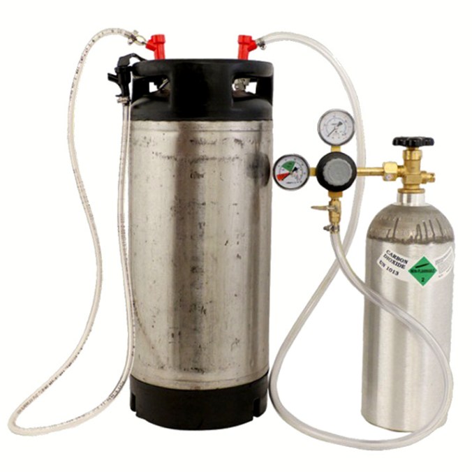 Home Brewing Beer Keg System with Free Shipping for $189
